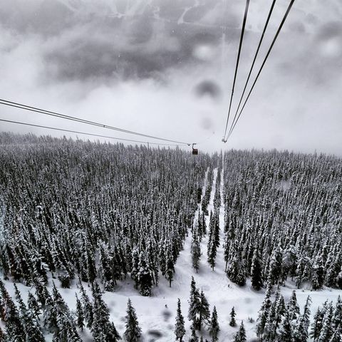 snow covered forest from the perspective of a ski lift